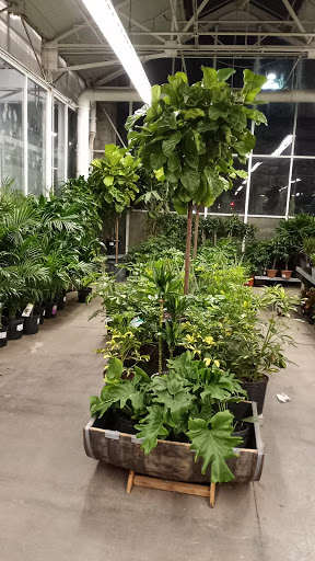 Home Improvement Store «The Home Depot», reviews and photos, 3500 W MacArthur Blvd, Santa Ana, CA 92704, USA