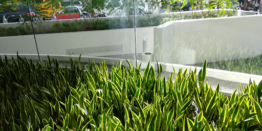 Modern Art Museum «Solomon R. Guggenheim Museum», reviews and photos, 1071 5th Ave, New York, NY 10128, USA