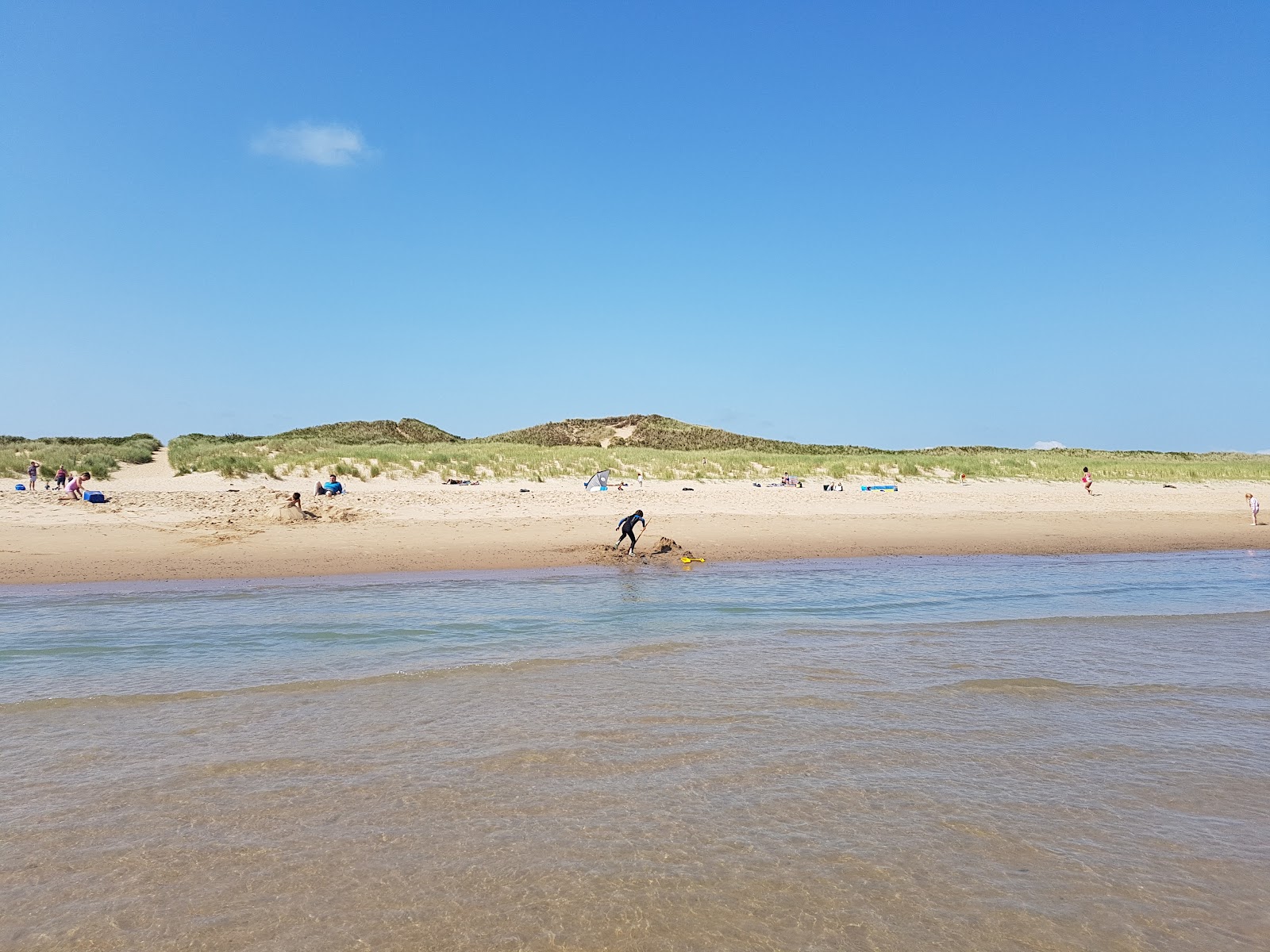 Photo de Old Bawn Beach avec rivage droit, long