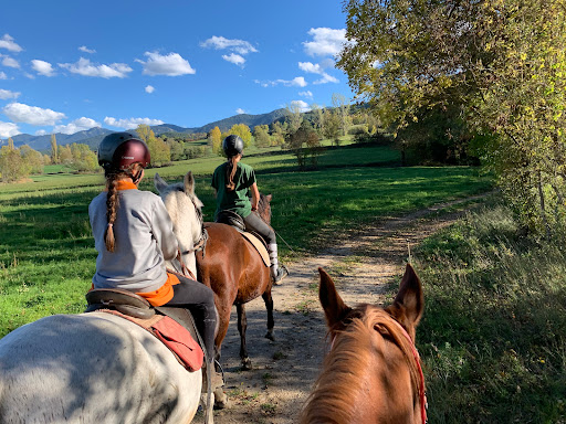 Hipica la Cerdanya a Quatre Potes, Escuela de equitación en Prullans,Lleida