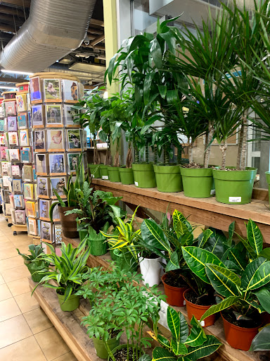 Grocery Store «Whole Foods Market», reviews and photos, 465 S Arroyo Pkwy, Pasadena, CA 91105, USA