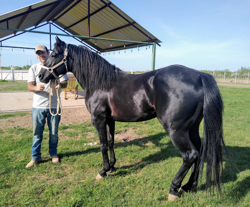 Rancho Los Girasoles