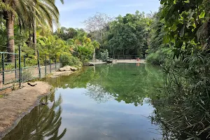 Tropical Garden image