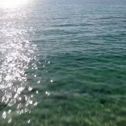 Photo n°11 de Eden Plage à Sainte-Maxime ()