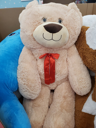 Discount Store «Big Lots», reviews and photos, 59 New State Hwy #2, Raynham, MA 02767, USA