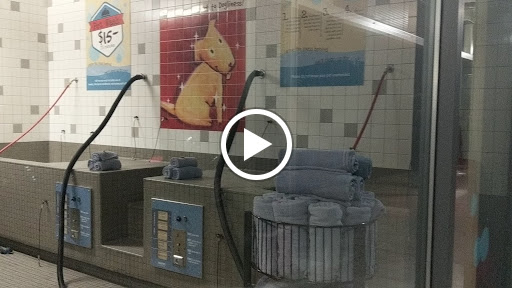 Pet Supply Store «Pet Food Express», reviews and photos, 3910 Middlefield Rd, Palo Alto, CA 94303, USA