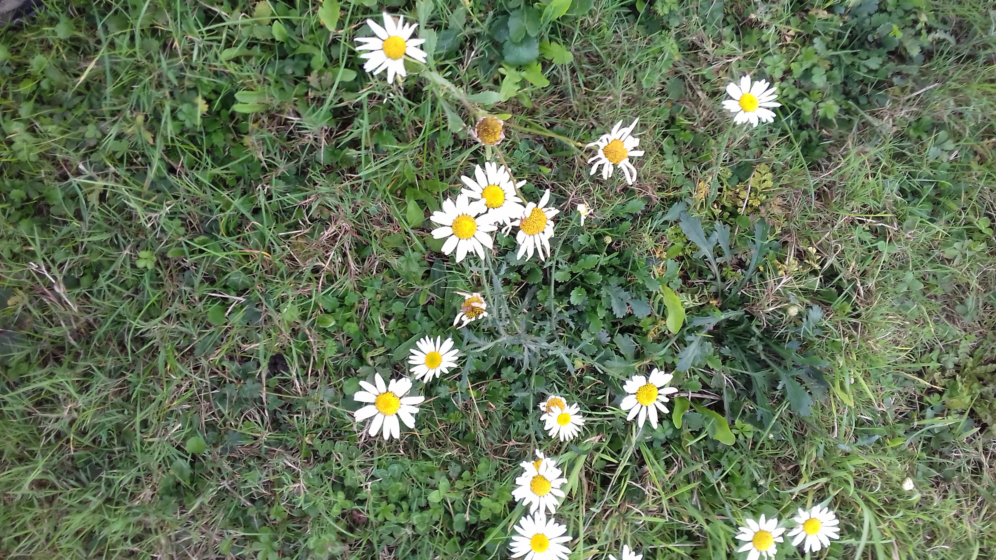 Photo n° 2 de l'avis de Izazazou.o fait le 09/10/2019 à 20:19