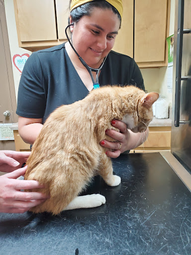 Oak Tree Animal Clinic image