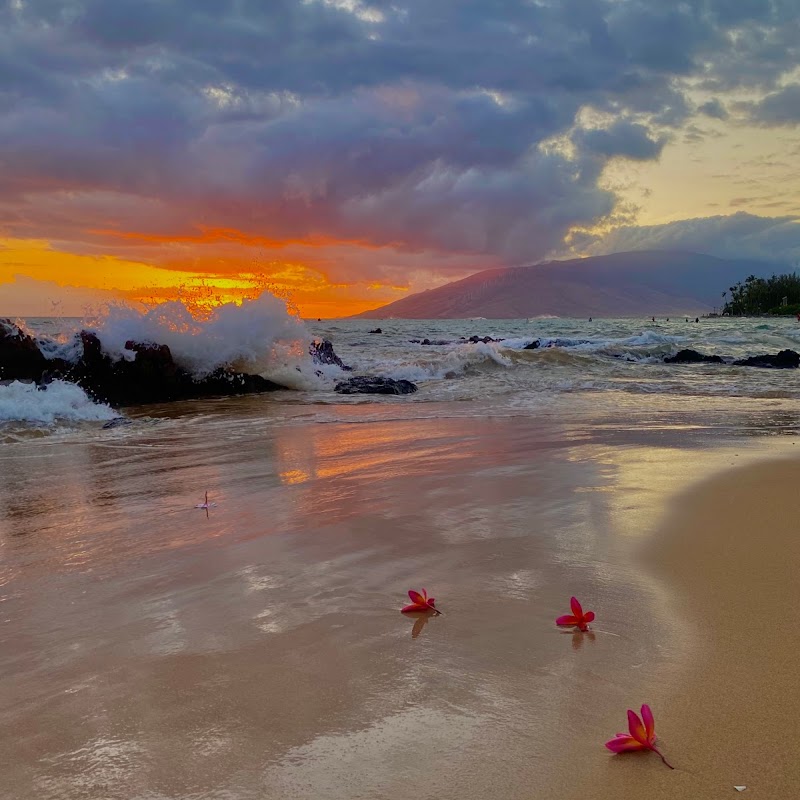 Massage Maui Bliss