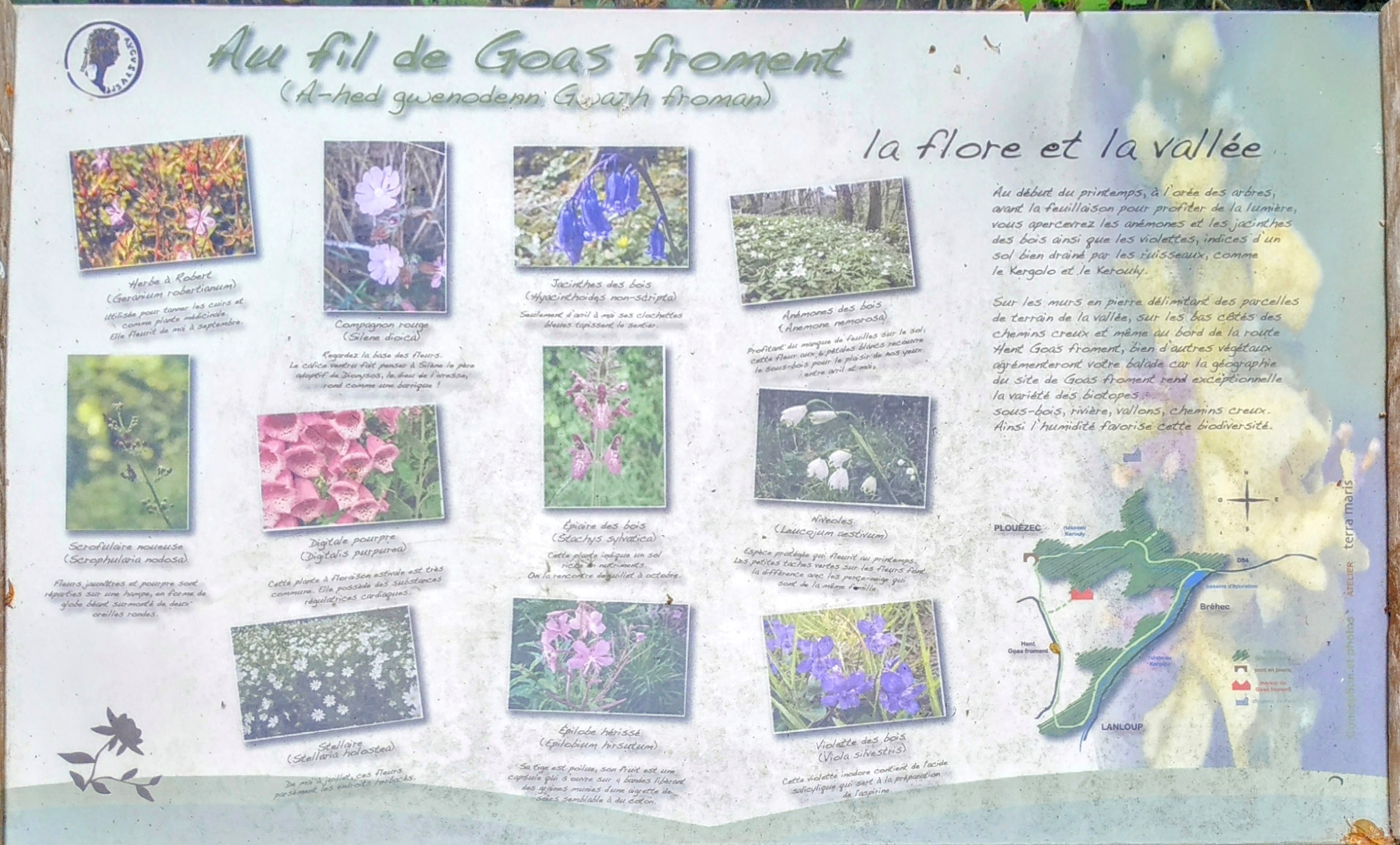 Photo n° 20 de l'avis de The.a fait le 19/07/2023 à 19:19