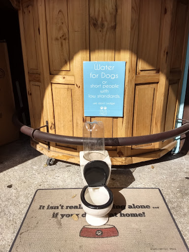 Gift Shop «Faux Paws», reviews and photos, 97 St George St, St Augustine, FL 32084, USA