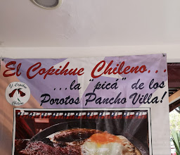 El Copihue Chileno photo