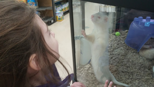 Pet Supply Store «Petco Animal Supplies», reviews and photos, 1483 NJ-23 #14b, Kinnelon, NJ 07405, USA