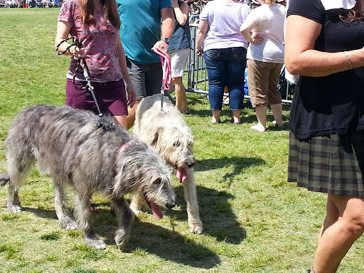 Community Center «Dunedin Community Center», reviews and photos, 1920 Pinehurst Rd, Dunedin, FL 34698, USA