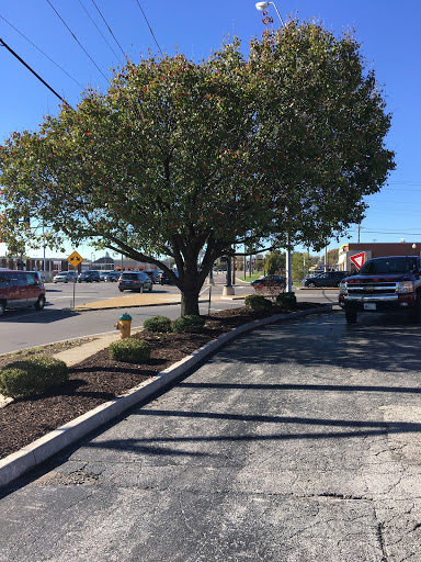 Oil Change Service «Jiffy Lube», reviews and photos, 15849 Manchester Rd, Ellisville, MO 63011, USA