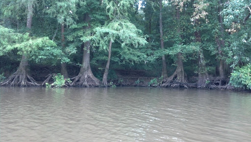 Park «Leake County Water Park», reviews and photos, 1190 Park Rd, Lena, MS 39094, USA