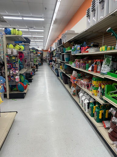 Discount Store «Big Lots», reviews and photos, 650 Wolcott St, Waterbury, CT 06705, USA