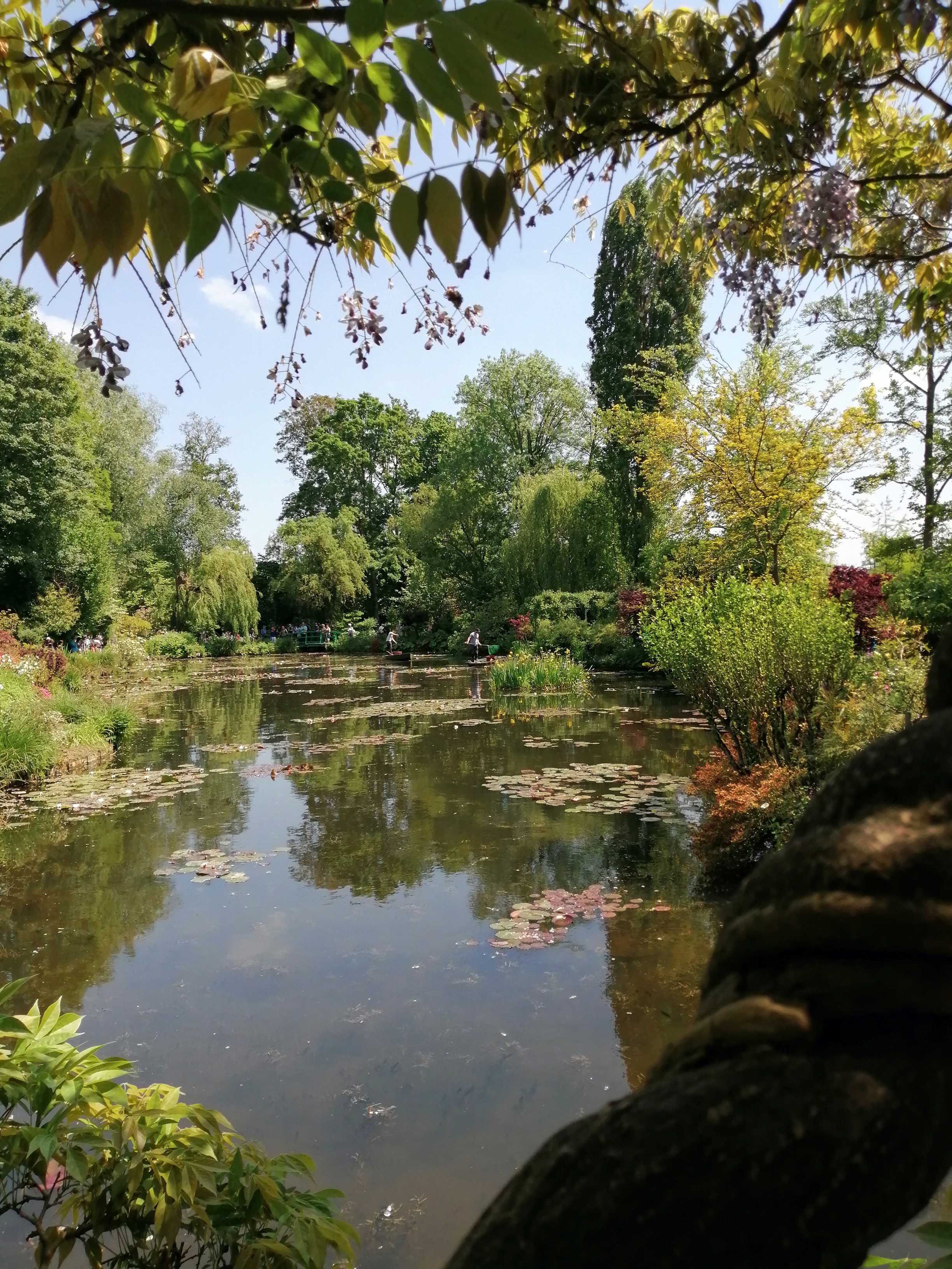 Photo n° 2 de l'avis de Dominique.i fait le 28/05/2023 à 08:32