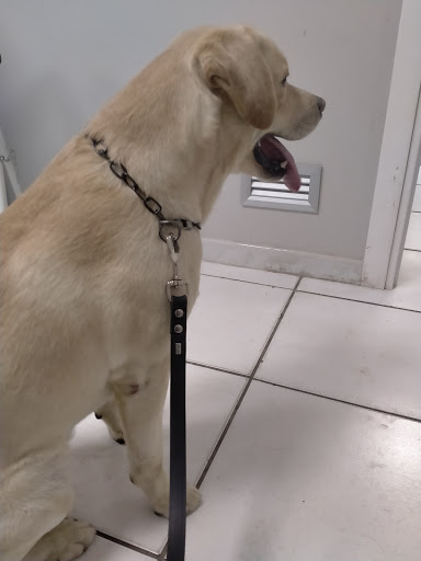 Pensioni per cani e dog hotel a Clinica veterinaria Citt di Sassari