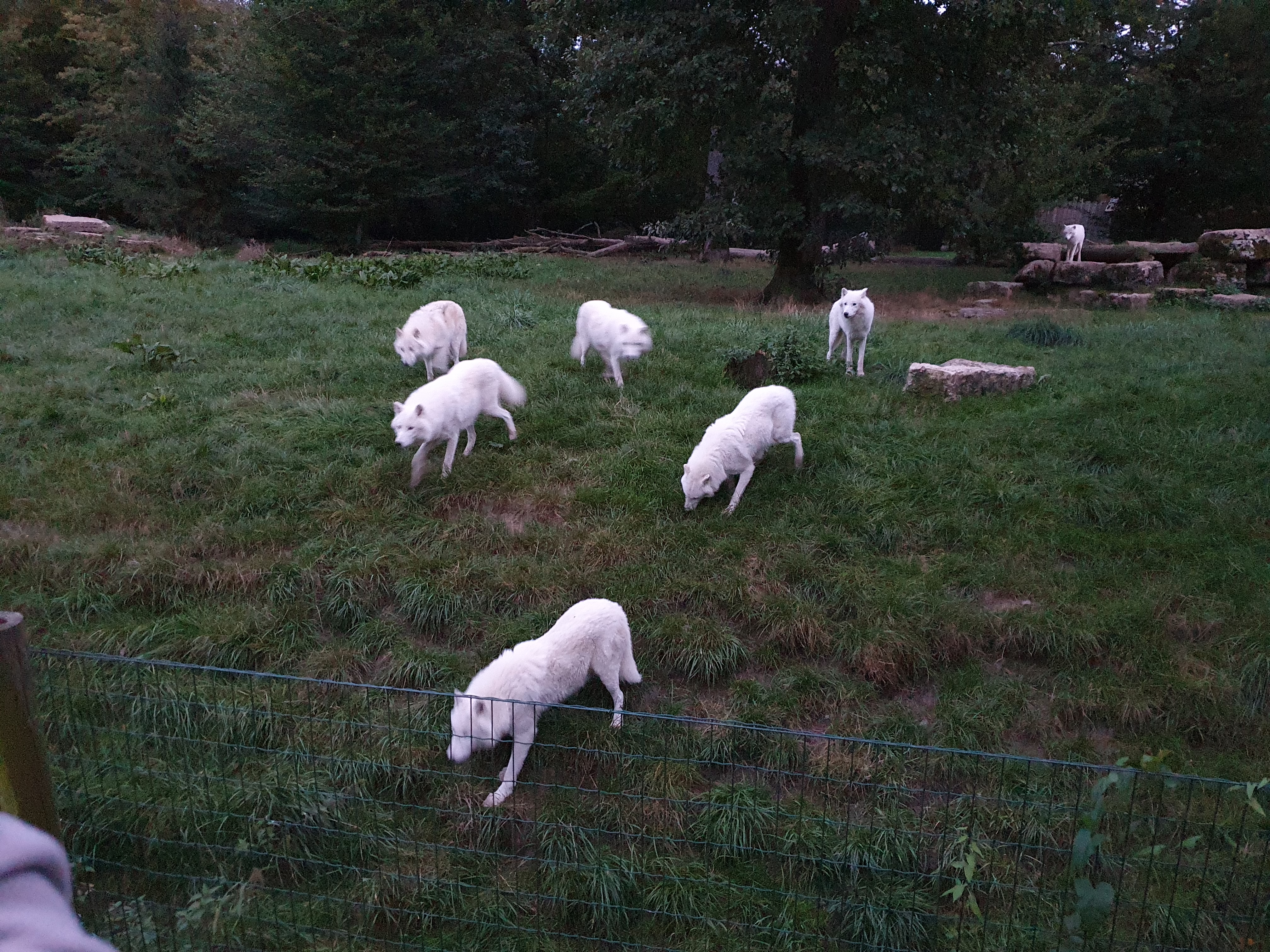Photo n° 4 de l'avis de Martine.e fait le 18/10/2021 à 13:49