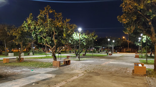 Flores Park