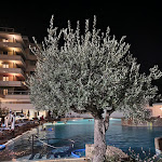 Photo n°11 de l'avis de Emanuela.r fait le 31/10/2022 à 12:58 sur le  Hotel Majestic à Galzignano Terme