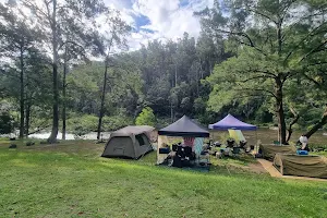 Platypus Flat campground image