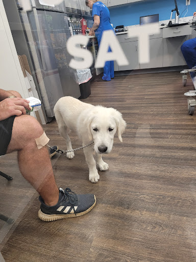 Pet Supply Store «Pet Supplies Plus», reviews and photos, 120 Sara Way, Belle Vernon, PA 15012, USA