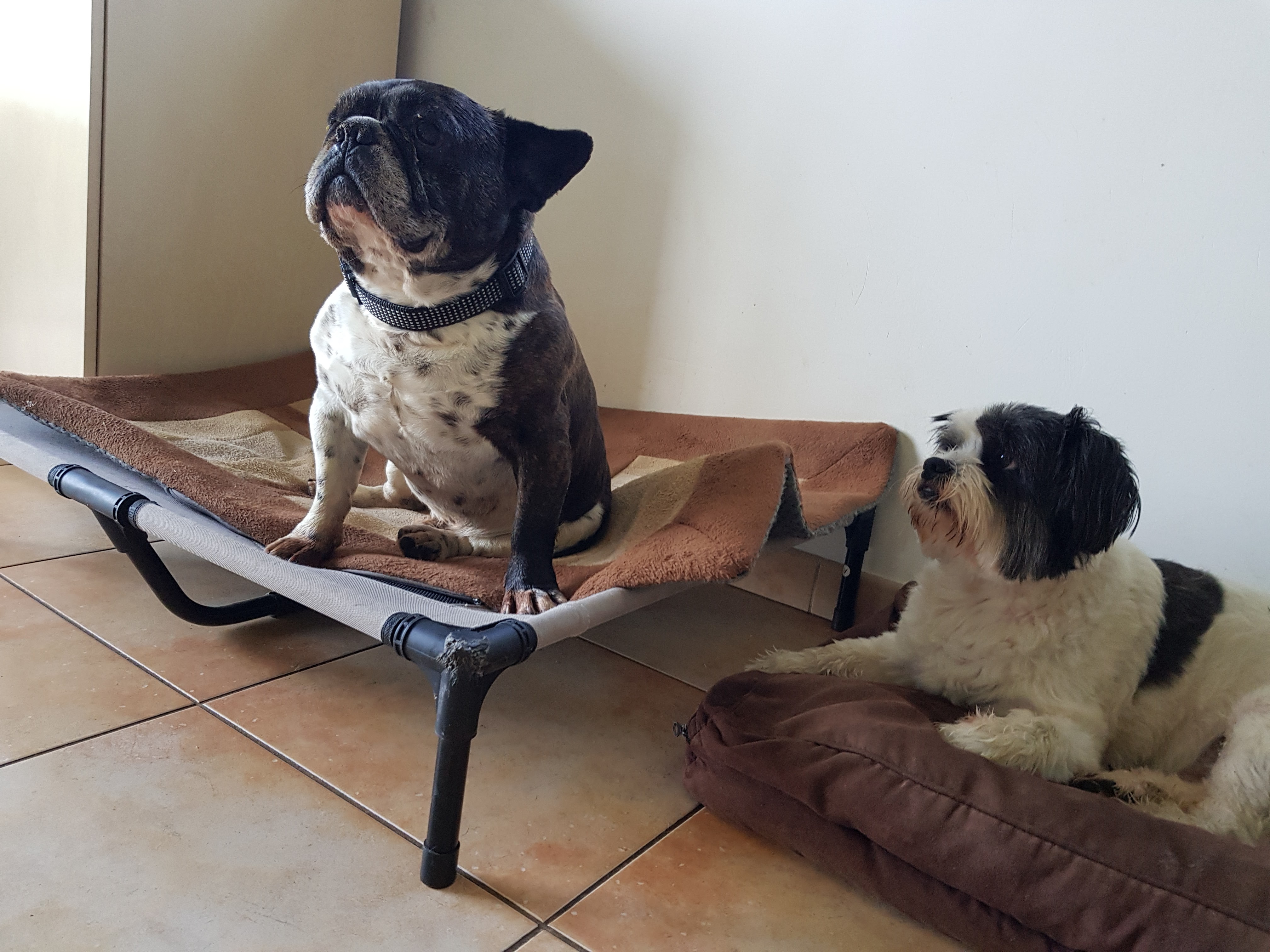 Photo n° 3 de l'avis de Anita.e fait le 12/07/2019 à 09:32