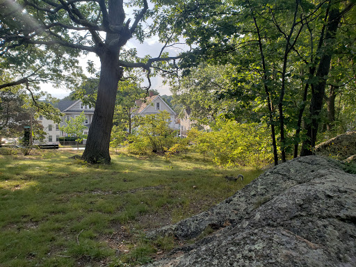 Park «Dorchester Park», reviews and photos, 2180 Dorchester Ave, Dorchester, MA 02124, USA