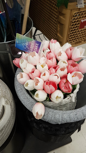 Department Store «T.J. Maxx & HomeGoods», reviews and photos, 80 S Tunnel Rd, Asheville, NC 28805, USA