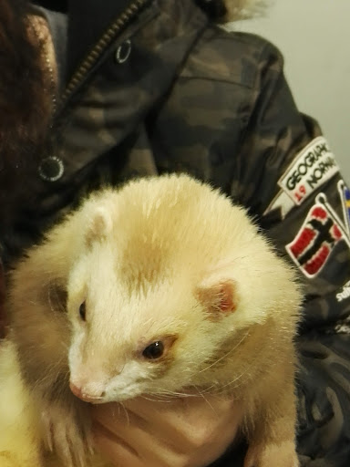 Clínica Veterinaria Hiperzoo en Cáceres‎