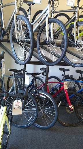 Bicycle Store «Golden Bear Bikes», reviews and photos, 290 Nickel St #100, Broomfield, CO 80020, USA