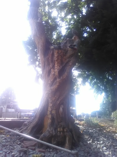 Golf Club «Linden Golf & Country Club», reviews and photos, 2519 E Main Ave, Puyallup, WA 98372, USA