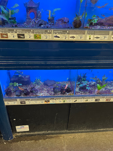 Pet Supply Store «Petco Animal Supplies», reviews and photos, 1210 Marvin Rd NE, Lacey, WA 98516, USA