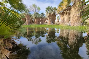 Coachella Valley Preserve - Thousand Palms Oasis Preserve image