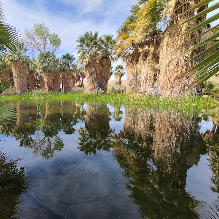 Coachella Valley Preserve - Thousand Palms Oasis Preserve