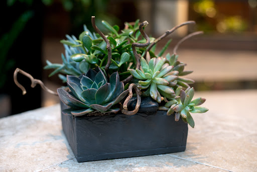 Florist «Louis Barry Florist», reviews and photos, 1 International Pl, Boston, MA 02110, USA