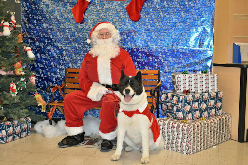 Pet Supply Store «PetSmart», reviews and photos, 30515 Av. de Las Flores, Rancho Santa Margarita, CA 92688, USA