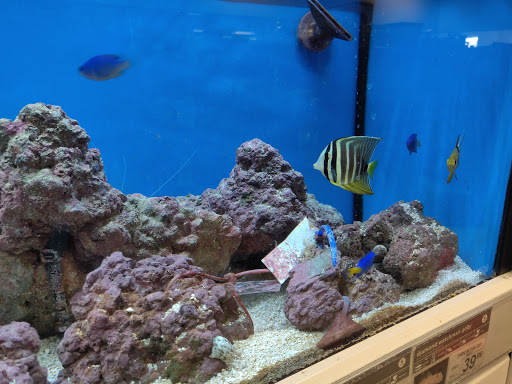 Pet Supply Store «Petco Animal Supplies», reviews and photos, 201 N Summit Ave, Lewisville, TX 75067, USA