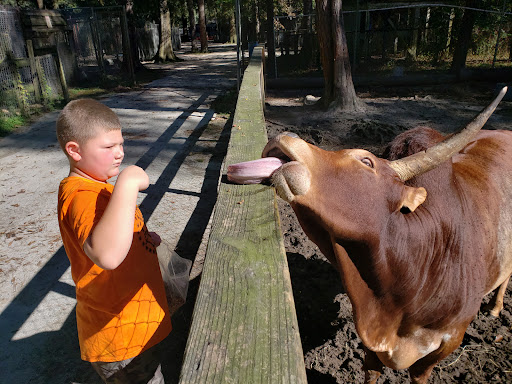 Zoo «Waccatee Zoological Farm», reviews and photos, 8500 Enterprise Rd, Myrtle Beach, SC 29588, USA