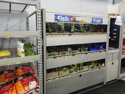 Department Store «Walmart Supercenter», reviews and photos, 10470 Twin Cities Rd, Galt, CA 95632, USA