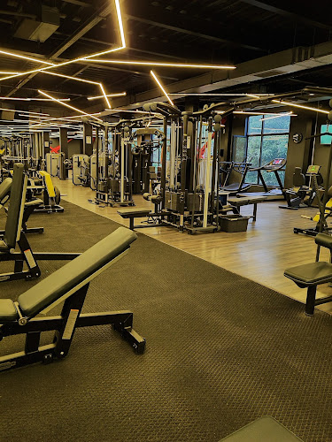 Be Live Fitness Sala Fitness Drumul Taberei, Sala Fitness Sector 6, Sala Fitness Non Stop