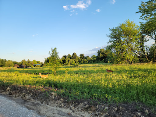 Nature Preserve «Oakhurst Forest Preserve», reviews and photos, 1680 5th Ave, Aurora, IL 60504, USA
