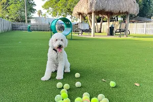 South Miami Dog Park image