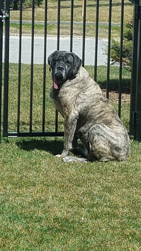 Pet Supply Store «PetSmart», reviews and photos, 88 Shops at 5 Way, Plymouth, MA 02360, USA