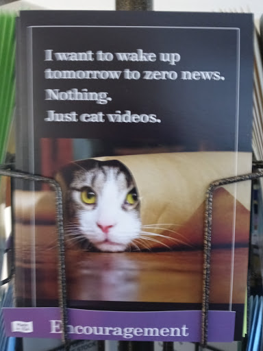 Honda Dealer «Honda of Gainesville», reviews and photos