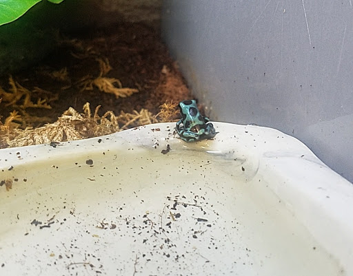 Pet Supply Store «Petco Animal Supplies», reviews and photos, 92 Cluff Crossing Rd, Salem, NH 03079, USA