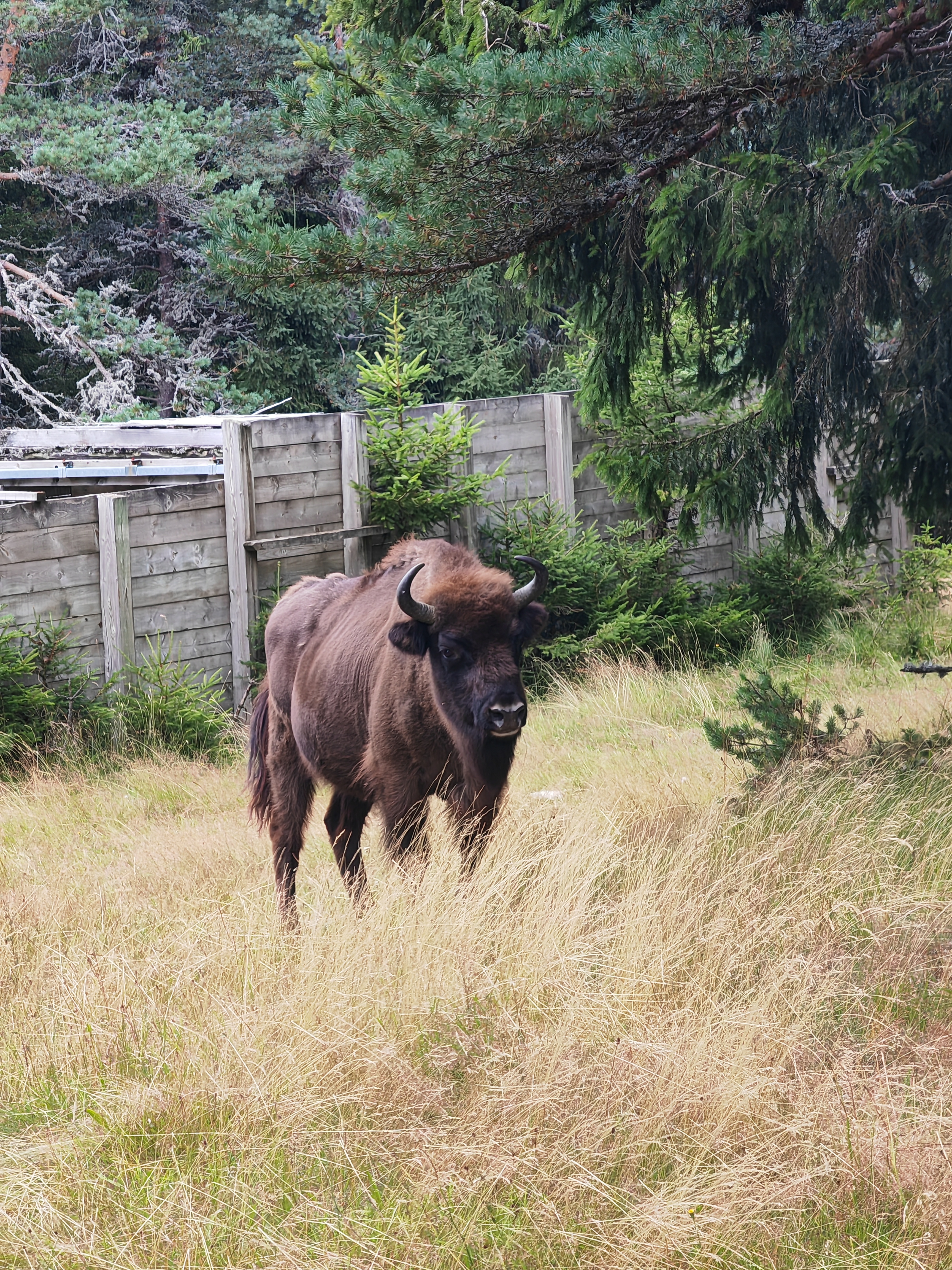 Photo n° 4 de l'avis de Isabelle.a fait le 06/08/2023 à 12:14