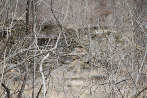 County Government Office «Oregon Ridge Nature Center», reviews and photos, 13555 Beaver Dam Rd, Cockeysville, MD 21030, USA